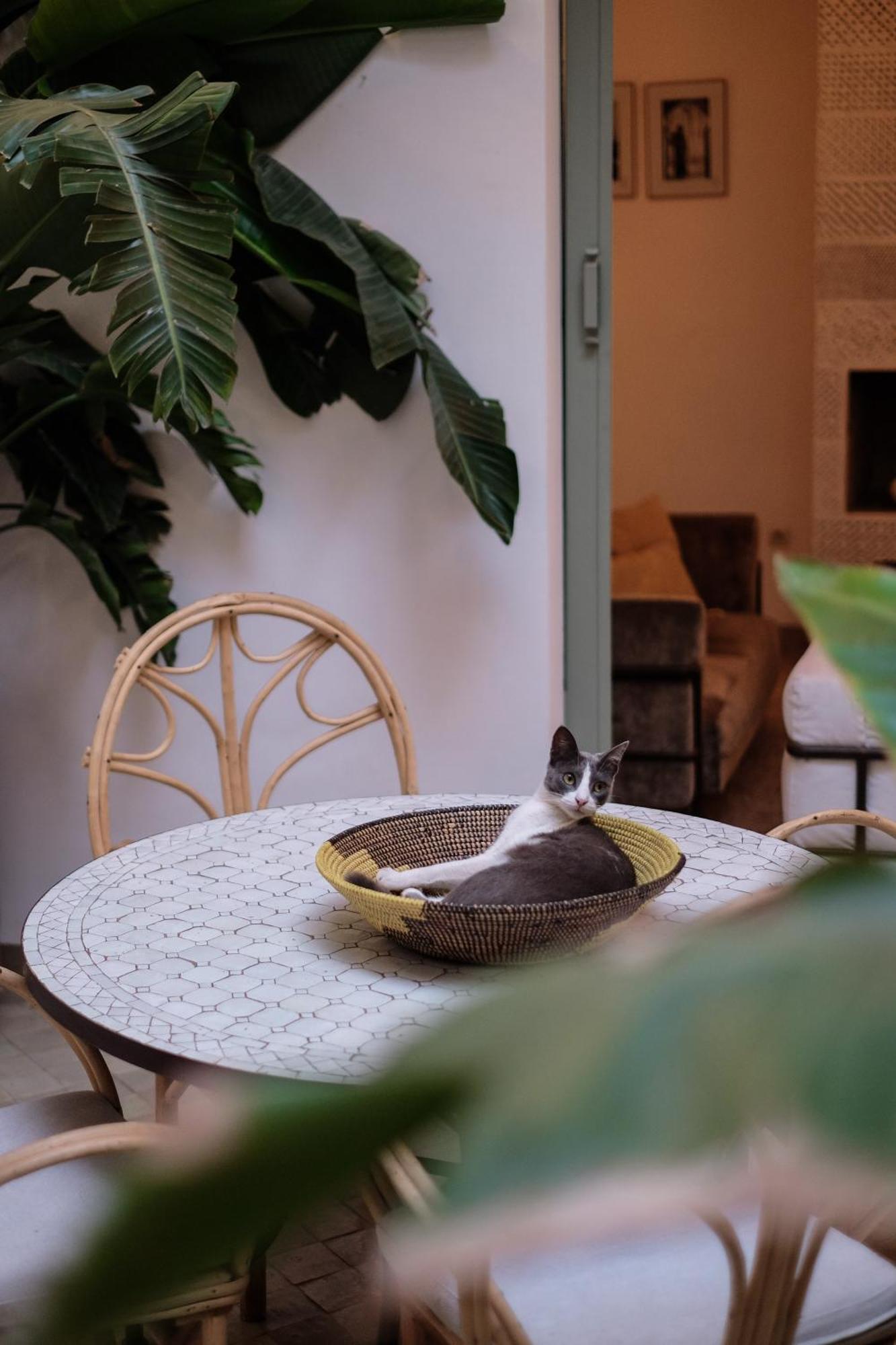 Danka Riad Marrakesch